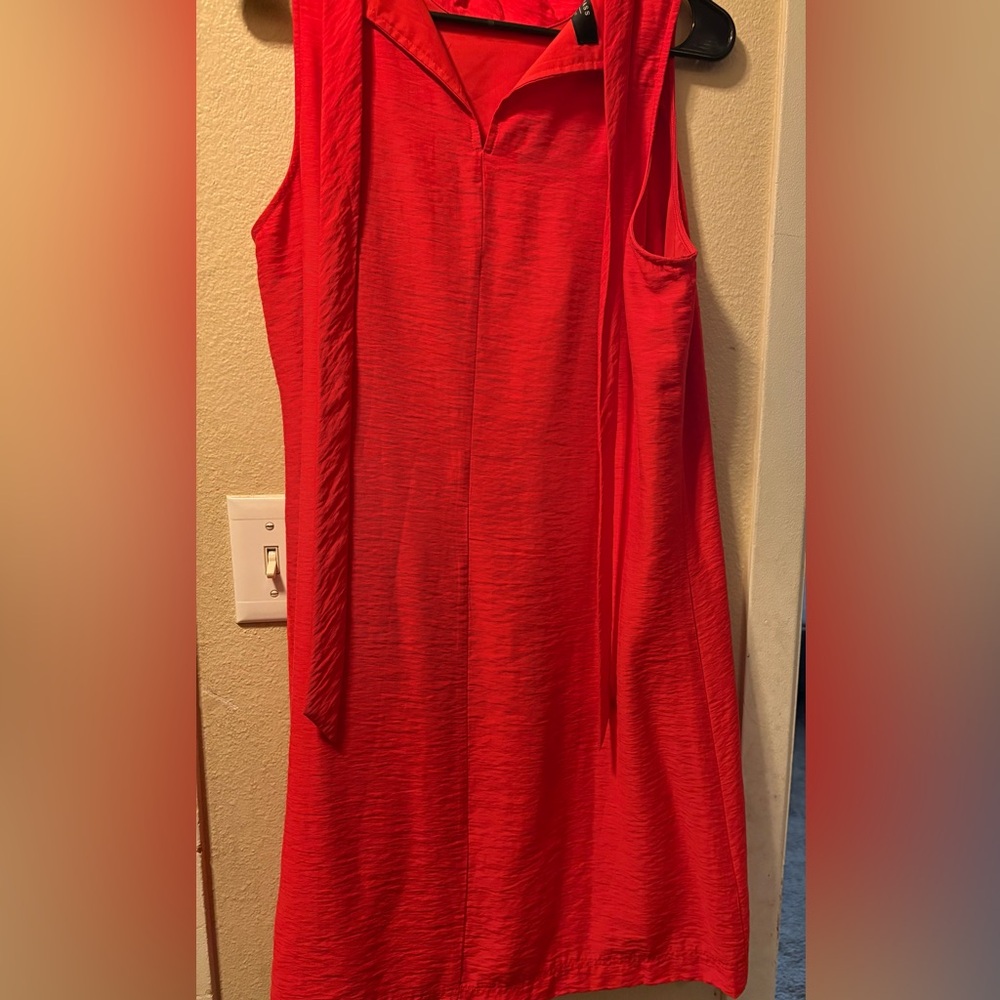 Red BRASS Dress